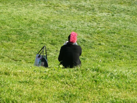 Person with pink mohawk surrounded by grass in Dolores Park
