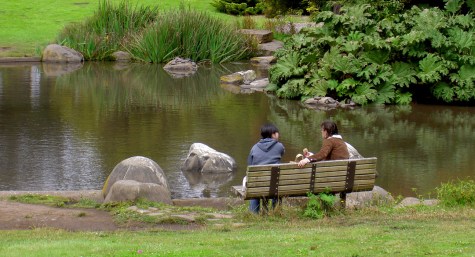 Bay-Area-Backsides-Sarah-Curtiss-San-Francisco-park-bench-couple-Stow-Lake Couple eating lunch on park bench next to Stow Lake with turtles on rocks