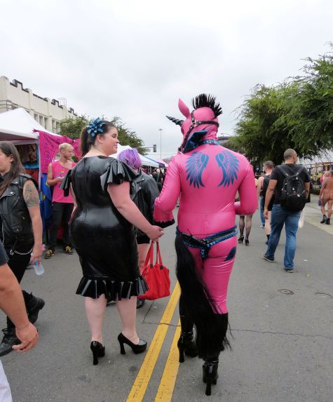 Folsom Fannies 14